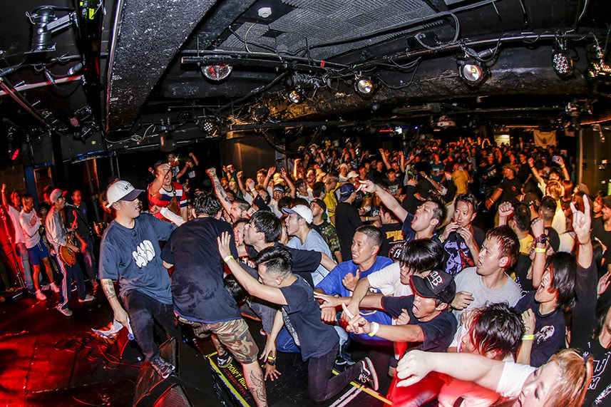 hoshinaライブ写真