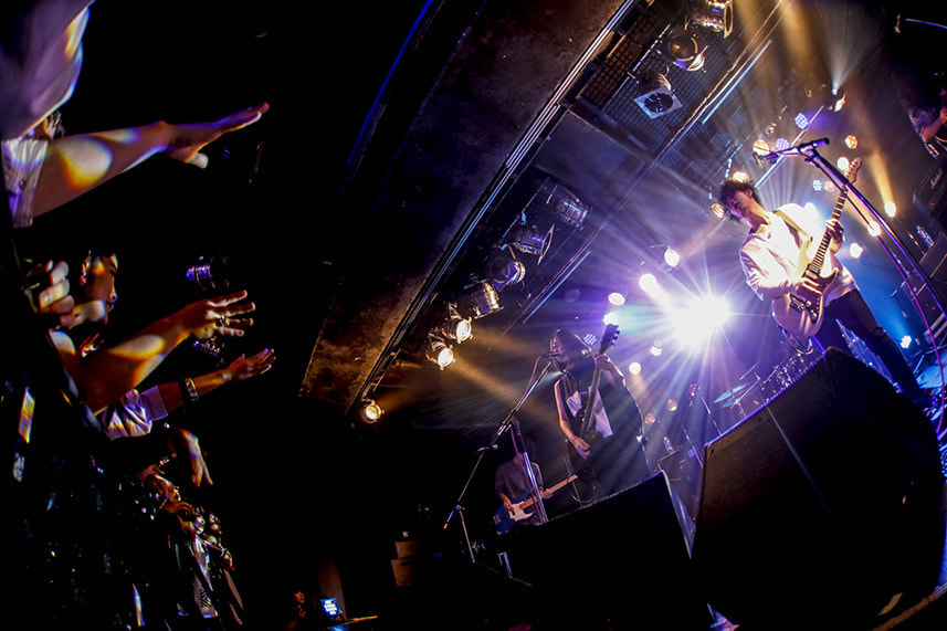 hoshinaライブ写真